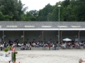 pferdesporttage_2008 (46)