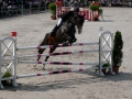 pferdesporttage_2008 (65)