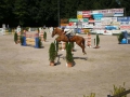 pferdesporttage_2008 (8)