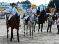 pferdesporttage_2009 (30)