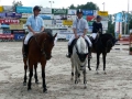 pferdesporttage_2009 (31)
