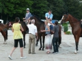 pferdesporttage_2010 (14)