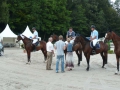 pferdesporttage_2010 (23)
