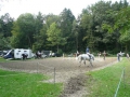 pferdesporttage_2010 (40)