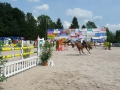 pferdesporttage_2010 (62)
