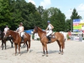 pferdesporttage_2010 (69)