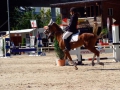 pferdesporttage_2014 (18)