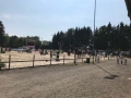 pferdesporttage_2018 (6)